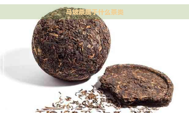 马坡茶属于什么茶类