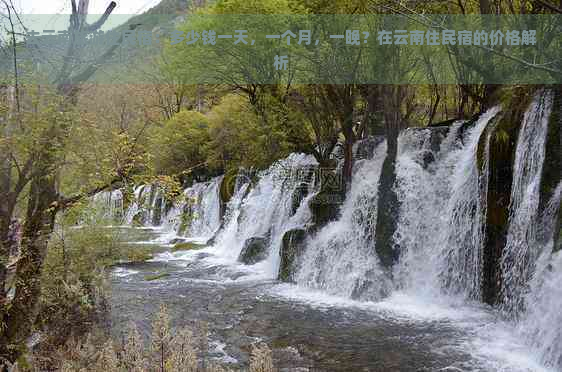 去云南旅游住民宿：多少钱一天，一个月，一晚？在云南住民宿的价格解析