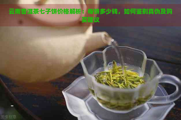 云南普洱茶七子饼价格解析：每饼多少钱，如何鉴别真伪及购买建议