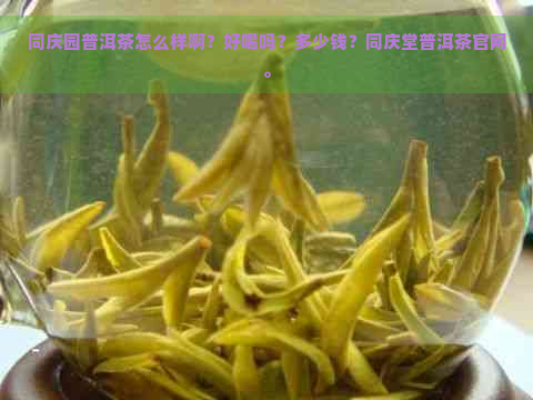 同庆园普洱茶怎么样啊？好喝吗？多少钱？同庆堂普洱茶官网。