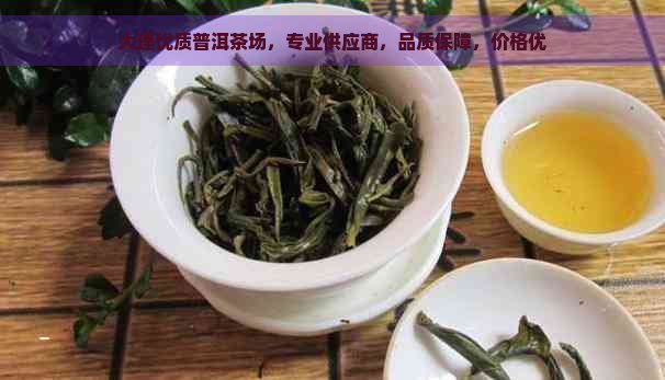 大理优质普洱茶场，专业供应商，品质保障，价格优