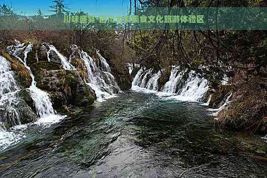 川味盛宴·四川大丰美食文化旅游体验区