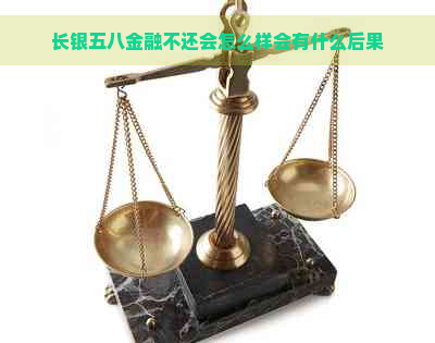 长银五八金融不还会怎么样会有什么后果