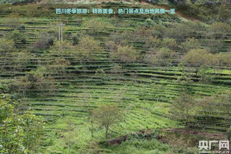 四川冬季旅游：特色美食、热门景点及当地风情一览