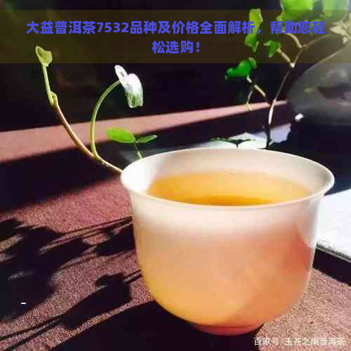 大益普洱茶7532品种及价格全面解析，帮助您轻松选购！