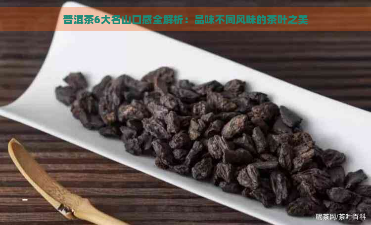 普洱茶6大名山口感全解析：品味不同风味的茶叶之美