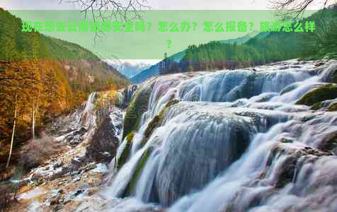 现在想去云南旅游安全吗？怎么办？怎么报备？旅游怎么样？