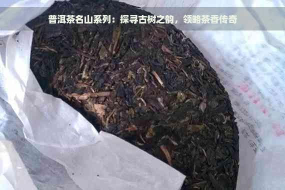 普洱茶名山系列：探寻古树之韵，领略茶香传奇