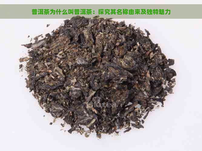 普洱茶为什么叫普洱茶：探究其名称由来及独特魅力