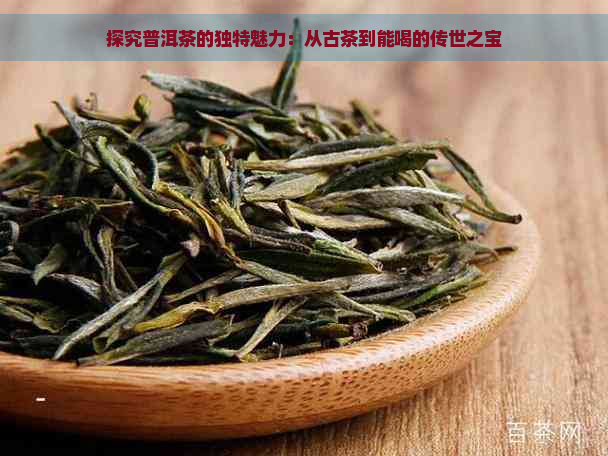 探究普洱茶的独特魅力：从古茶到能喝的传世之宝