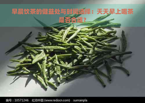 早晨饮茶的健益处与时间选择：天天早上喝茶是否合适？