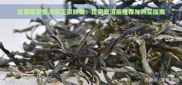 昆明哪家普洱茶正宗好喝：昆明普洱茶推荐与购买指南