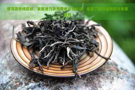 普洱茶市场现状、发展潜力及消费者行为分析：全面了解行业动态与未来趋势