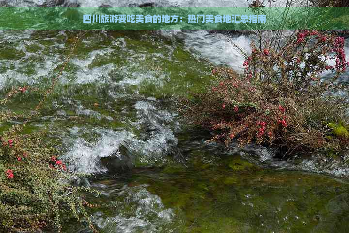 四川旅游要吃美食的地方：热门美食地汇总指南