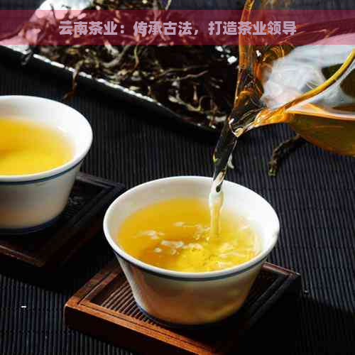 云南茶业：传承古法，打造茶业领导