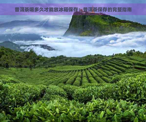 普洱茶喝多久才能放冰箱保存：普洱茶保存的完整指南