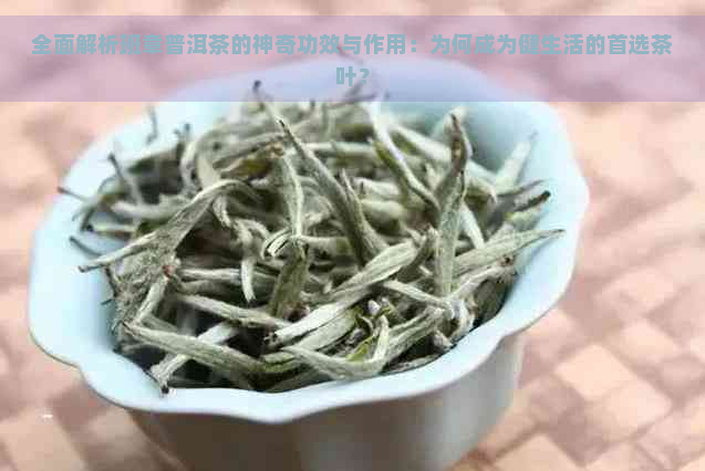 全面解析班章普洱茶的神奇功效与作用：为何成为健生活的首选茶叶？