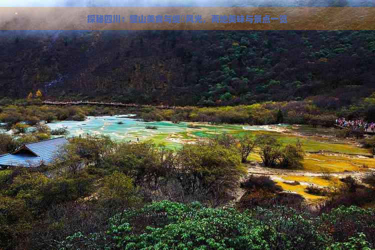 探秘四川：璧山美食与缇庨风光，两地美味与景点一览