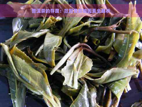 普洱茶的存度：范围及影响因素全解析