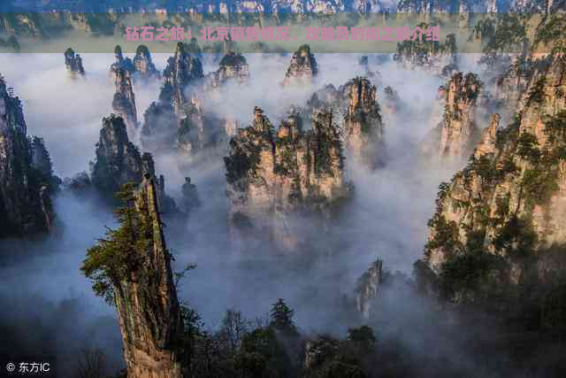 钻石之旅：北京销售情况、攻略及时尚之旅介绍