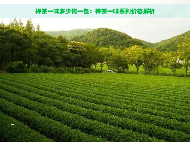 禅茶一味多少钱一包：禅茶一味系列价格解析