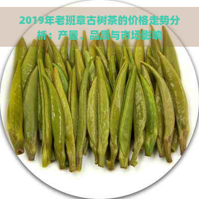 2019年老班章古树茶的价格走势分析：产量、品质与市场影响