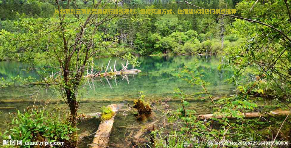 从北京到云南的完美旅行路线规划，包括交通方式、住宿建议和热门景点推荐