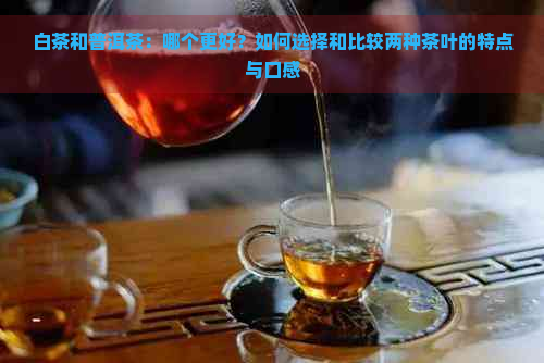 白茶和普洱茶：哪个更好？如何选择和比较两种茶叶的特点与口感