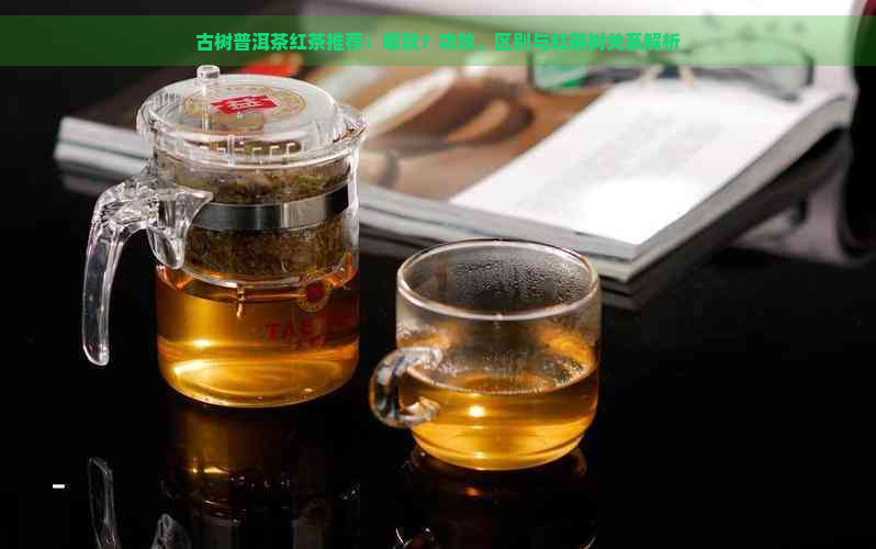 古树普洱茶红茶推荐：哪款？功效、区别与红茶树关系解析