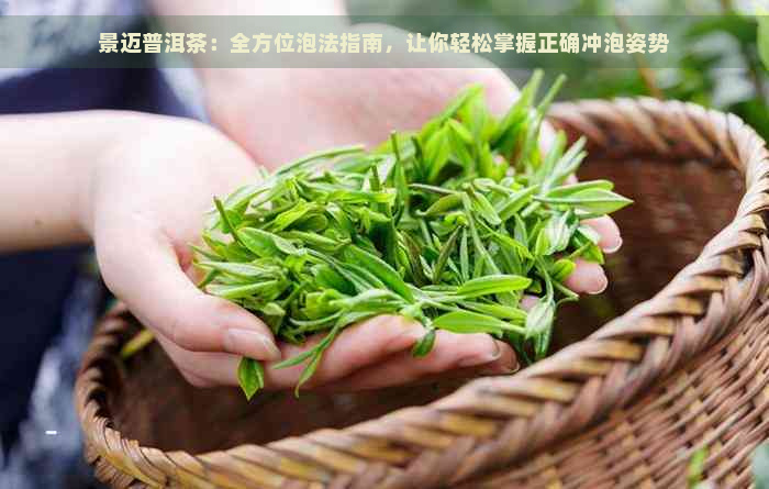 景迈普洱茶：全方位泡法指南，让你轻松掌握正确冲泡姿势