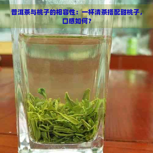 普洱茶与桃子的相容性：一杯清茶搭配甜桃子，口感如何？