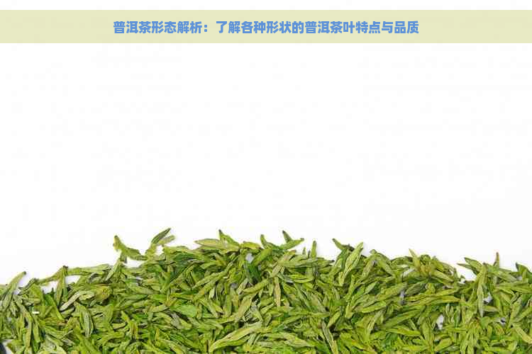 普洱茶形态解析：了解各种形状的普洱茶叶特点与品质