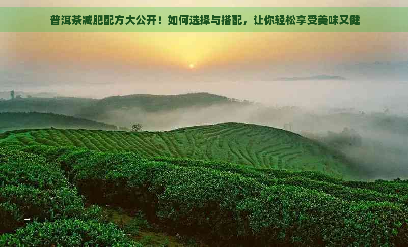  普洱茶减肥配方大公开！如何选择与搭配，让你轻松享受美味又健