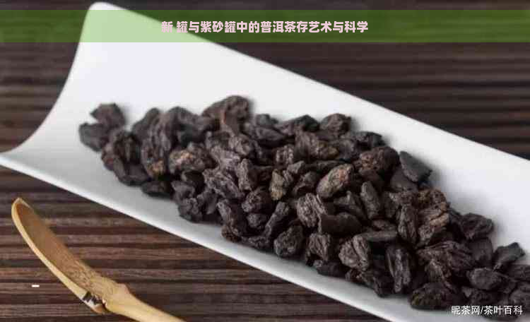 新 罐与紫砂罐中的普洱茶存艺术与科学