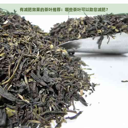 有减肥效果的茶叶推荐：哪些茶叶可以助您减肥？