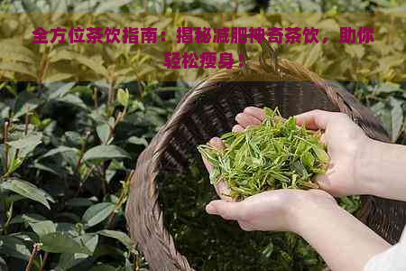 全方位茶饮指南：揭秘减肥神奇茶饮，助你轻松瘦身！