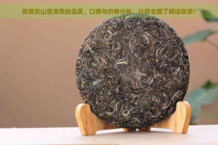 新易武山普洱茶的品质、口感与价格分析，让你全面了解这款茶！