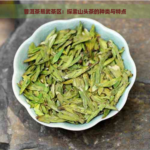 普洱茶易武茶区：探索山头茶的种类与特点