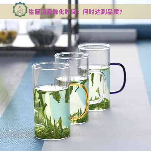 生普洱茶陈化时间：何时达到品质？