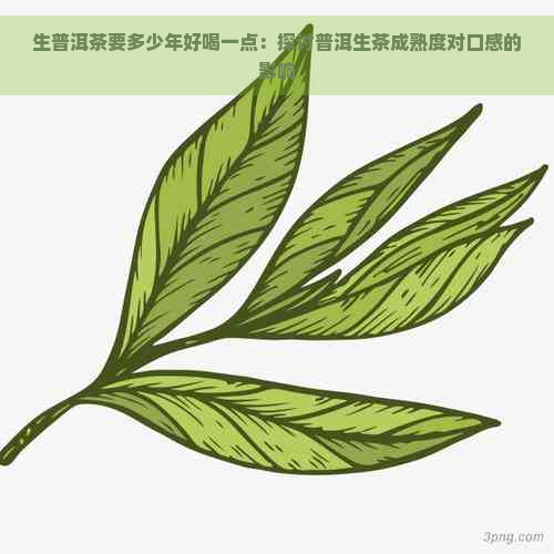 生普洱茶要多少年好喝一点：探讨普洱生茶成熟度对口感的影响