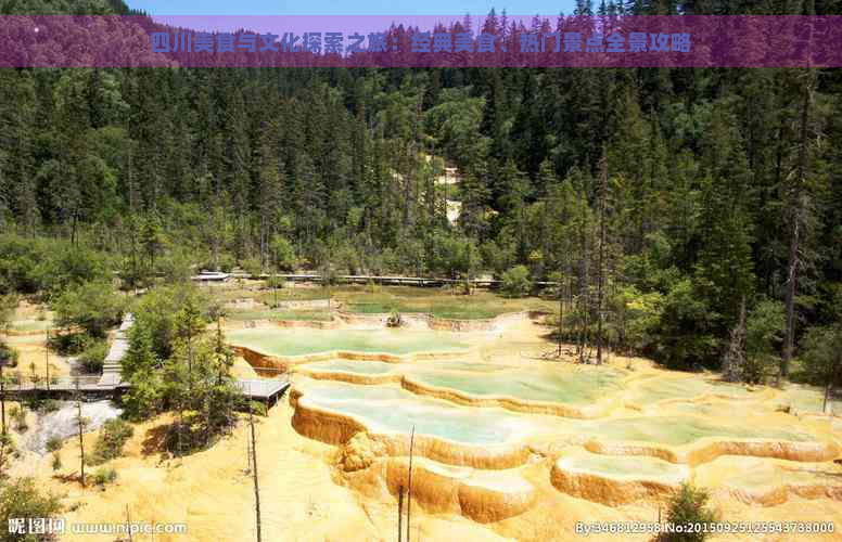 四川美食与文化探索之旅：经典美食、热门景点全景攻略