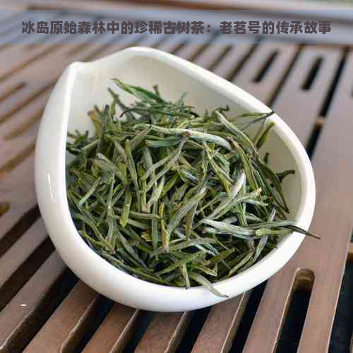 冰岛原始森林中的珍稀古树茶：老茗号的传承故事