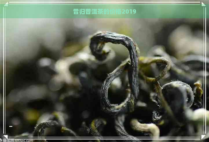 昔归普洱茶的价格2019