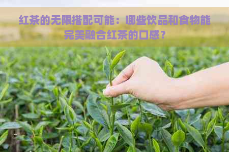 红茶的无限搭配可能：哪些饮品和食物能完美融合红茶的口感？