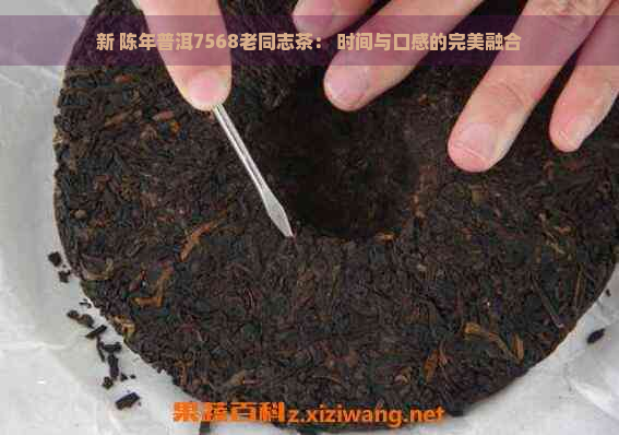 新 陈年普洱7568老同志茶： 时间与口感的完美融合