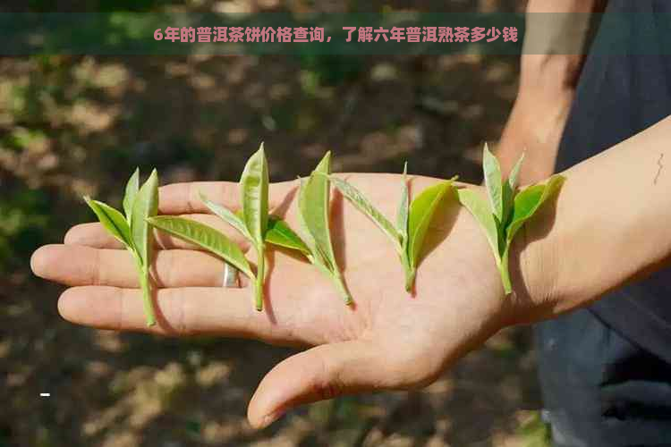 6年的普洱茶饼价格查询，了解六年普洱熟茶多少钱