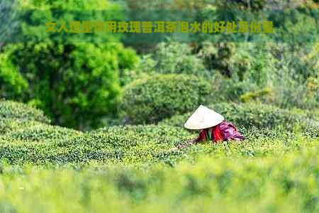 女人适量饮用玫瑰普洱茶泡水的好处及份量