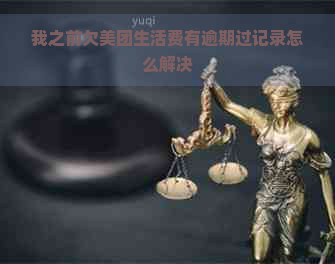 我之前欠美团生活费有逾期过记录怎么解决