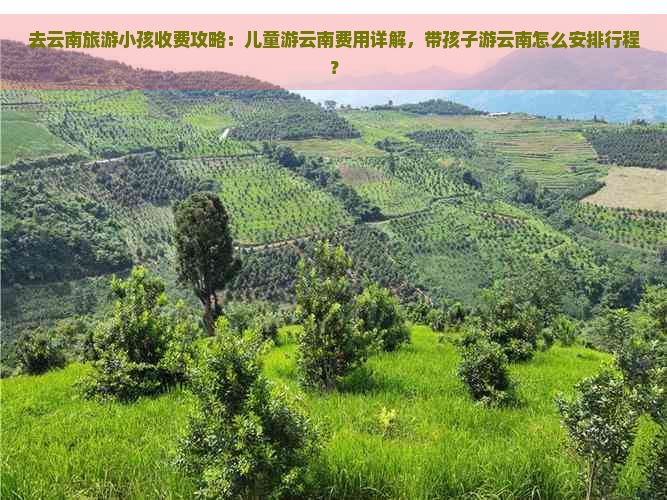 去云南旅游小孩收费攻略：儿童游云南费用详解，带孩子游云南怎么安排行程？