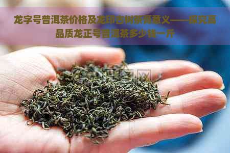 龙字号普洱茶价格及龙印古树茶膏意义——探究高品质龙正号普洱茶多少钱一斤